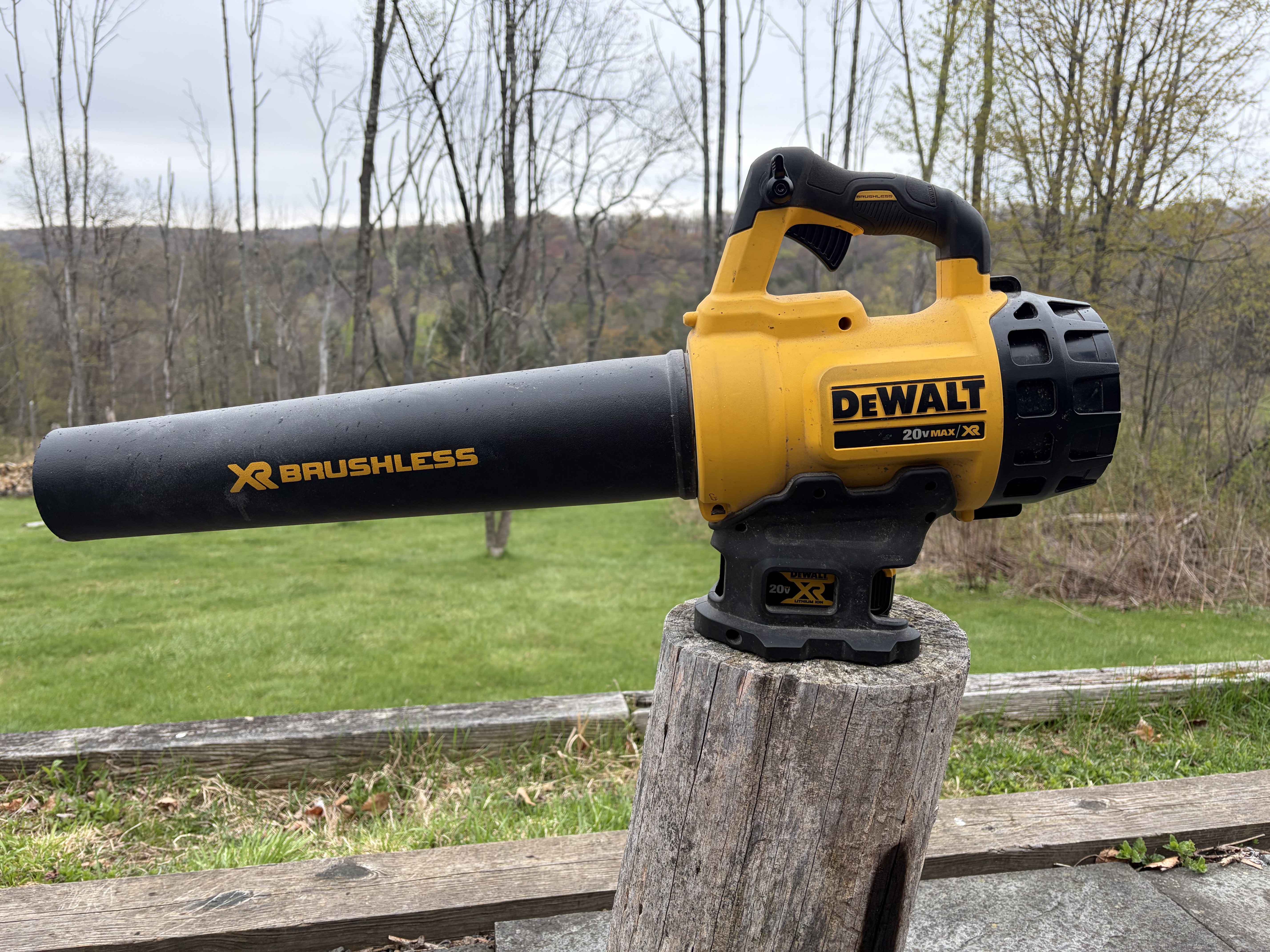DeWalt 20V MAX XR Brushless Leaf Blower + Battery